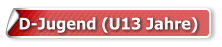 D-Jugend (U13 Jahre)